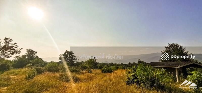 ขายที่ดิน 55 ไร่ 1กม. จากแม่น้ำปิงในบ้านโฮ่ง, ลำพูน, หนองปลาสะวาย, บ้านโฮ่ง, ลำพูน, 88,592 ตร.ม., ที่ดิน ขาย, โดย เอลียาห์ ริดจ์ลี่ย์, 11302158 - DDproperty.com