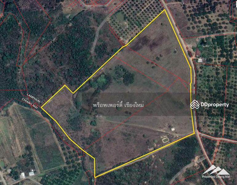 ขายที่ดิน 55 ไร่ 1กม. จากแม่น้ำปิงในบ้านโฮ่ง, ลำพูน, หนองปลาสะวาย, บ้านโฮ่ง, ลำพูน, 88,592 ตร.ม., ที่ดิน ขาย, โดย เอลียาห์ ริดจ์ลี่ย์, 11302158 - DDproperty.com