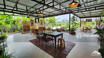 ขาย - สวรรค์ของชาวสวนพร้อมวิวภูเขาและพื้นที่นั่งเล่นกลางแจ้งสไตล์บาหลีในสันป่าตอง, เชียงใหม่