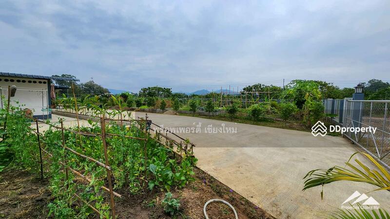 Gardener’s Paradise With Mountain Views And Bali-Style Outdoor Living Spaces In San Pa Tong, Chiang Mai, Ban Me, San Pa Tong, Chiang Mai, 4 Bedrooms, 280 sqm, Single Detached House For Sale, by Elijah Ridgley, 11302198 - DDproperty.com