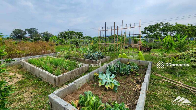 Gardener’s Paradise With Mountain Views And Bali-Style Outdoor Living Spaces In San Pa Tong, Chiang Mai, Ban Me, San Pa Tong, Chiang Mai, 4 Bedrooms, 280 sqm, Single Detached House For Sale, by Elijah Ridgley, 11302198 - DDproperty.com