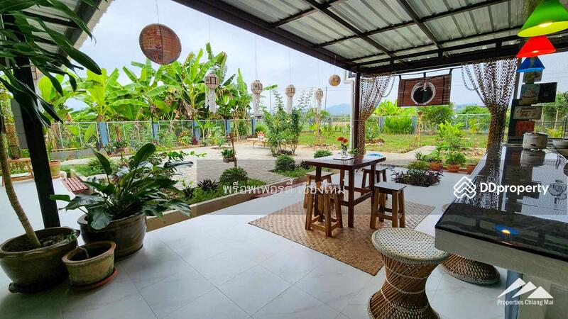 ขาย - สวรรค์ของชาวสวนพร้อมวิวภูเขาและพื้นที่นั่งเล่นกลางแจ้งสไตล์บาหลีในสันป่าตอง, เชียงใหม่