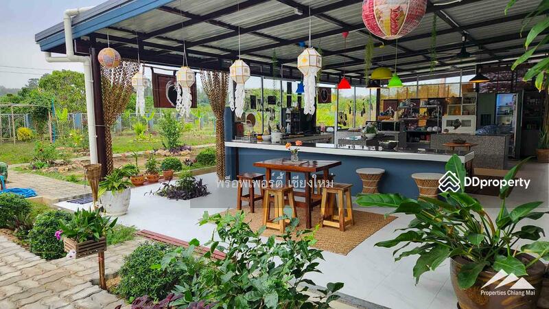 ขาย - สวรรค์ของชาวสวนพร้อมวิวภูเขาและพื้นที่นั่งเล่นกลางแจ้งสไตล์บาหลีในสันป่าตอง, เชียงใหม่