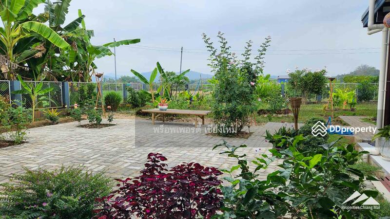 Gardener’s Paradise With Mountain Views And Bali-Style Outdoor Living Spaces In San Pa Tong, Chiang Mai, Ban Me, San Pa Tong, Chiang Mai, 4 Bedrooms, 280 sqm, Single Detached House For Sale, by Elijah Ridgley, 11302198 - DDproperty.com