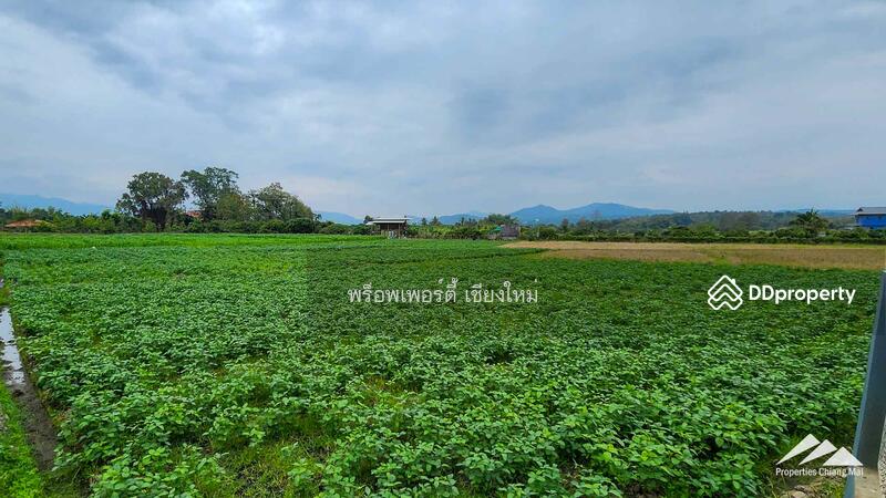 Gardener’s Paradise With Mountain Views And Bali-Style Outdoor Living Spaces In San Pa Tong, Chiang Mai, Ban Me, San Pa Tong, Chiang Mai, 4 Bedrooms, 280 sqm, Single Detached House For Sale, by Elijah Ridgley, 11302198 - DDproperty.com