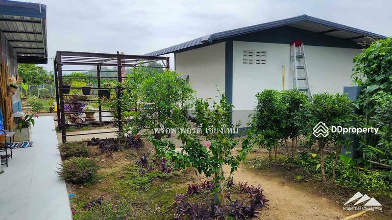 Gardener’s Paradise With Mountain Views And Bali-Style Outdoor Living Spaces In San Pa Tong, Chiang Mai, Ban Me, San Pa Tong, Chiang Mai, 4 Bedrooms, 280 sqm, Single Detached House For Sale, by Elijah Ridgley, 11302198 - DDproperty.com