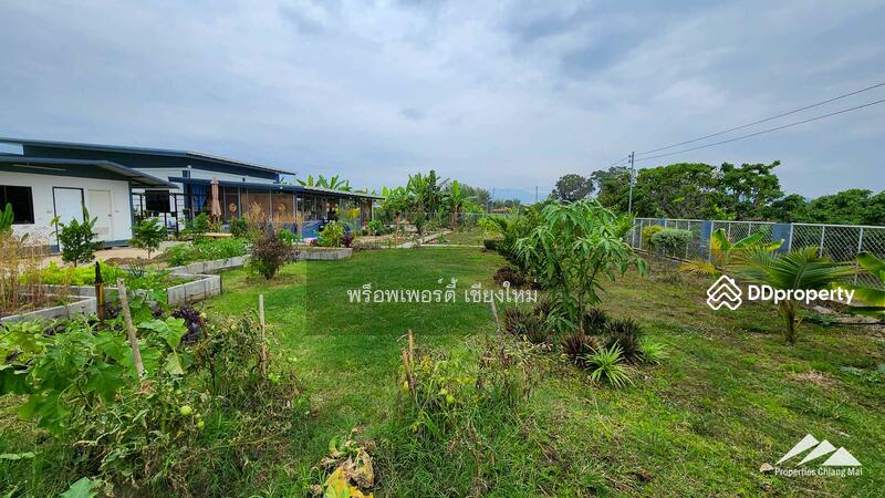 Gardener’s Paradise With Mountain Views And Bali-Style Outdoor Living Spaces In San Pa Tong, Chiang Mai, Ban Me, San Pa Tong, Chiang Mai, 4 Bedrooms, 280 sqm, Single Detached House For Sale, by Elijah Ridgley, 11302198 - DDproperty.com