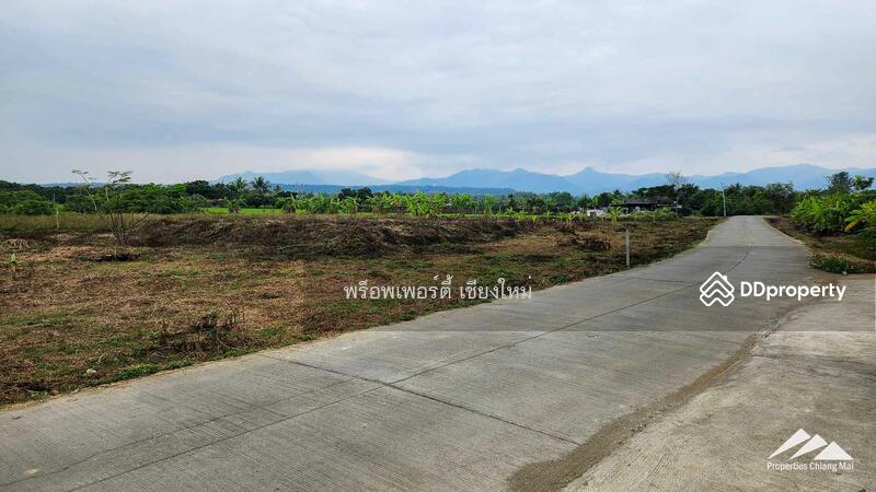 Gardener’s Paradise With Mountain Views And Bali-Style Outdoor Living Spaces In San Pa Tong, Chiang Mai, Ban Me, San Pa Tong, Chiang Mai, 4 Bedrooms, 280 sqm, Single Detached House For Sale, by Elijah Ridgley, 11302198 - DDproperty.com