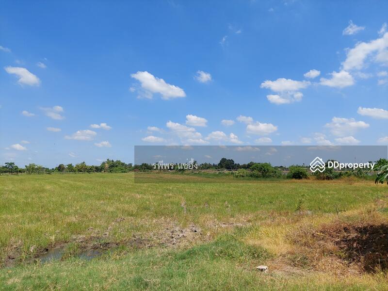 ขายที่ดิน ต. ดอนข่อย อ. กำแพงแสน นครปฐม, Nakhon Pathom, Don Khoi, Kamphaeng Saen, Nakhon Pathom, , 49,260 sqm, Land For Sale, by รพีพร แซ่อึ้ง, 11302778 - DDproperty.com