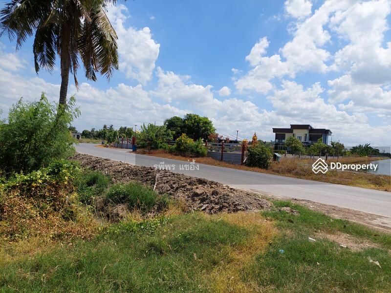 ขายที่ดิน ต. ดอนข่อย อ. กำแพงแสน นครปฐม, Nakhon Pathom, Don Khoi, Kamphaeng Saen, Nakhon Pathom, , 49,260 sqm, Land For Sale, by รพีพร แซ่อึ้ง, 11302778 - DDproperty.com
