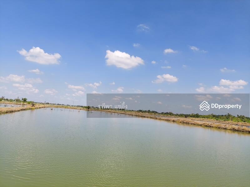 ขายที่ดิน ต. ดอนข่อย อ. กำแพงแสน นครปฐม, นครปฐม, ดอนข่อย, กำแพงแสน, นครปฐม, 49,260 ตร.ม., ที่ดิน ขาย, โดย รพีพร แซ่อึ้ง, 11302778 - DDproperty.com