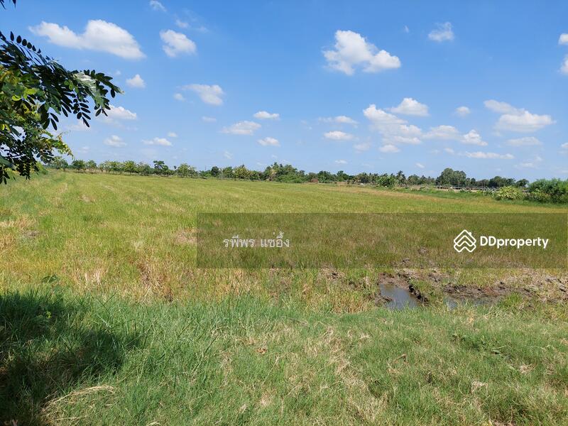 ขายที่ดิน ต. ดอนข่อย อ. กำแพงแสน นครปฐม, Nakhon Pathom, Don Khoi, Kamphaeng Saen, Nakhon Pathom, , 49,260 sqm, Land For Sale, by รพีพร แซ่อึ้ง, 11302778 - DDproperty.com
