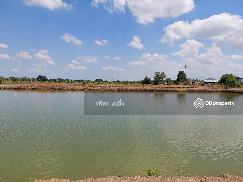ขายที่ดิน ต. ดอนข่อย อ. กำแพงแสน นครปฐม, Nakhon Pathom, Don Khoi, Kamphaeng Saen, Nakhon Pathom, , 49,260 sqm, Land For Sale, by รพีพร แซ่อึ้ง, 11302778 - DDproperty.com