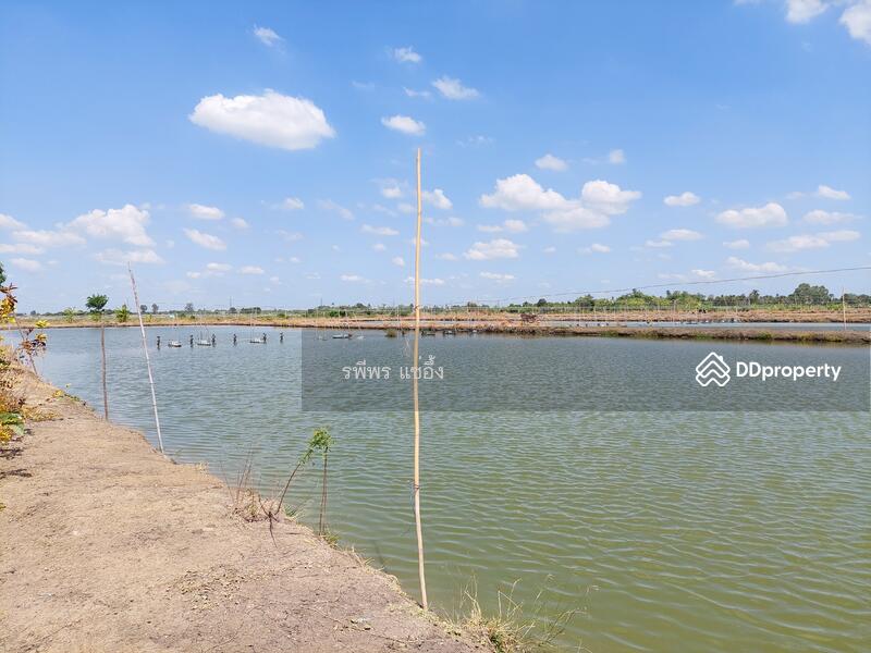 ขายที่ดิน ต. ดอนข่อย อ. กำแพงแสน นครปฐม, นครปฐม, ดอนข่อย, กำแพงแสน, นครปฐม, 49,260 ตร.ม., ที่ดิน ขาย, โดย รพีพร แซ่อึ้ง, 11302778 - DDproperty.com