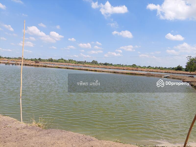 ขายที่ดิน ต. ดอนข่อย อ. กำแพงแสน นครปฐม, Nakhon Pathom, Don Khoi, Kamphaeng Saen, Nakhon Pathom, , 49,260 sqm, Land For Sale, by รพีพร แซ่อึ้ง, 11302778 - DDproperty.com