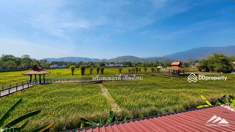 3 Bedroom House With A Large High Ceiling In Mueang Chiang Mai, Chiang Mai, Mae Hia, Muang Chiang Mai, Chiang Mai, 3 Bedrooms, 200 sqm, Single Detached House For Sale, by Elijah Ridgley, 11303472 - DDproperty.com