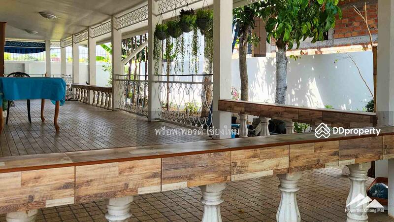 บ้าน 3 ห้องนอนพร้อมเพดานสูงขนาดใหญ่ในเมืองเชียงใหม่, เชียงใหม่, แม่เหียะ, เมืองเชียงใหม่, เชียงใหม่, 200 ตร.ม., บ้านเดี่ยว ขาย, โดย เอลียาห์ ริดจ์ลี่ย์, 11303472 - DDproperty.com