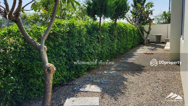 บ้านพร้อมเฟอร์นิเจอร์ใกล้โรงเรียนนานาชาติในหางดง, เชียงใหม่, หางดง, หางดง, เชียงใหม่, 150 ตร.ม., บ้านเดี่ยว ขาย, โดย เอลียาห์ ริดจ์ลี่ย์, 11303527 - DDproperty.com