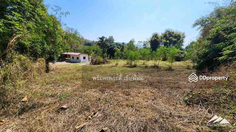 Land For Sale In Ban Pong, Hang Dong With House, Chiang Mai, Ban-Pong, Hang Dong, Chiang Mai, , 2,464 sqm, Land For Sale, by Elijah Ridgley, 11303792 - DDproperty.com