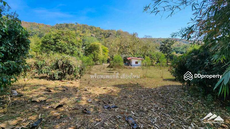Land For Sale In Ban Pong, Hang Dong With House, Chiang Mai, Ban-Pong, Hang Dong, Chiang Mai, , 2,464 sqm, Land For Sale, by Elijah Ridgley, 11303792 - DDproperty.com