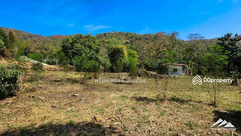 Land For Sale In Ban Pong, Hang Dong With House, Chiang Mai, Ban-Pong, Hang Dong, Chiang Mai, , 2,464 sqm, Land For Sale, by Elijah Ridgley, 11303792 - DDproperty.com