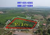 ที่ดินเปล่า หนองแหน พนมสารคาม ฉะเชิงเทรา - DDproperty.com