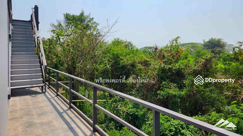 New Modern House With A Large Garden And Rooftop In San Sai, Chiang Mai, Nong Yaeng, San Sai, Chiang Mai, 5 Bedrooms, 474 sqm, Single Detached House For Sale, by Elijah Ridgley, 11304001 - DDproperty.com