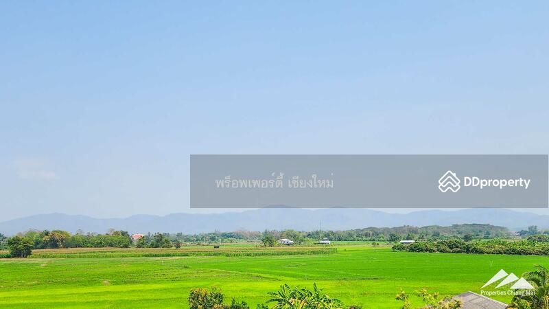 New Modern House With A Large Garden And Rooftop In San Sai, Chiang Mai, Nong Yaeng, San Sai, Chiang Mai, 5 Bedrooms, 474 sqm, Single Detached House For Sale, by Elijah Ridgley, 11304001 - DDproperty.com