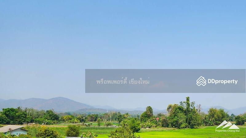 บ้านทันสมัยใหม่พร้อมสวนขนาดใหญ่และดาดฟ้าในสันทราย, เชียงใหม่, หนองแหย่ง, สันทราย, เชียงใหม่, 474 ตร.ม., บ้านเดี่ยว ขาย, โดย เอลียาห์ ริดจ์ลี่ย์, 11304001 - DDproperty.com