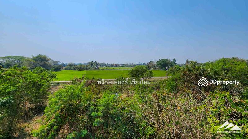 New Modern House With A Large Garden And Rooftop In San Sai, Chiang Mai, Nong Yaeng, San Sai, Chiang Mai, 5 Bedrooms, 474 sqm, Single Detached House For Sale, by Elijah Ridgley, 11304001 - DDproperty.com