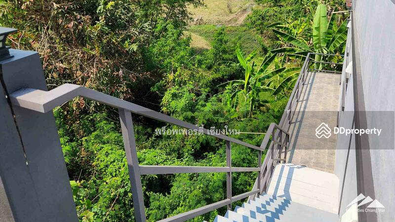 New Modern House With A Large Garden And Rooftop In San Sai, Chiang Mai, Nong Yaeng, San Sai, Chiang Mai, 5 Bedrooms, 474 sqm, Single Detached House For Sale, by Elijah Ridgley, 11304001 - DDproperty.com