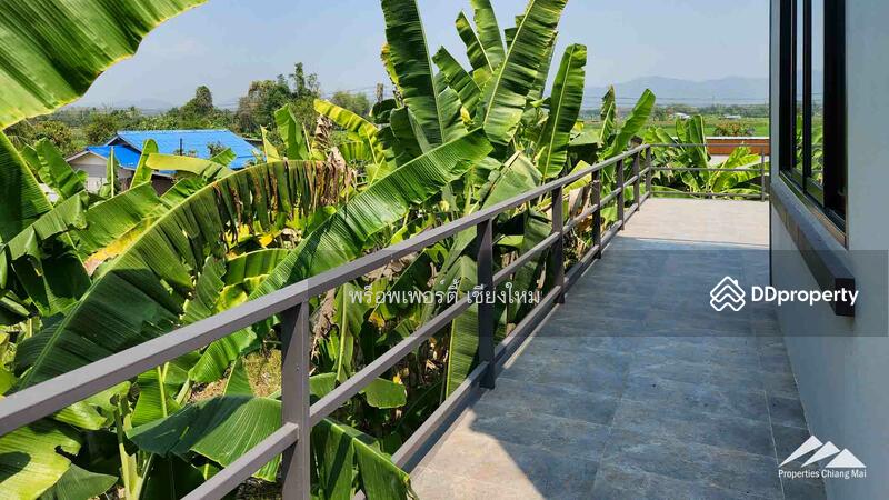บ้านทันสมัยใหม่พร้อมสวนขนาดใหญ่และดาดฟ้าในสันทราย, เชียงใหม่, หนองแหย่ง, สันทราย, เชียงใหม่, 474 ตร.ม., บ้านเดี่ยว ขาย, โดย เอลียาห์ ริดจ์ลี่ย์, 11304001 - DDproperty.com