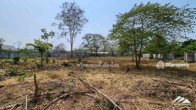 ขาย - ให้เช่าที่ดิน 1.5 ไร่ในท่าศาลาเชียงใหม่, เชียงใหม่