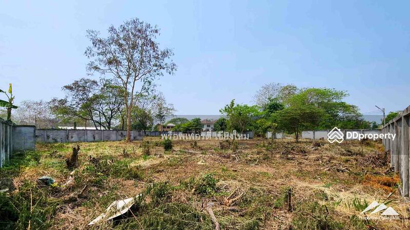 ขาย - ให้เช่าที่ดิน 1.5 ไร่ในท่าศาลาเชียงใหม่, เชียงใหม่