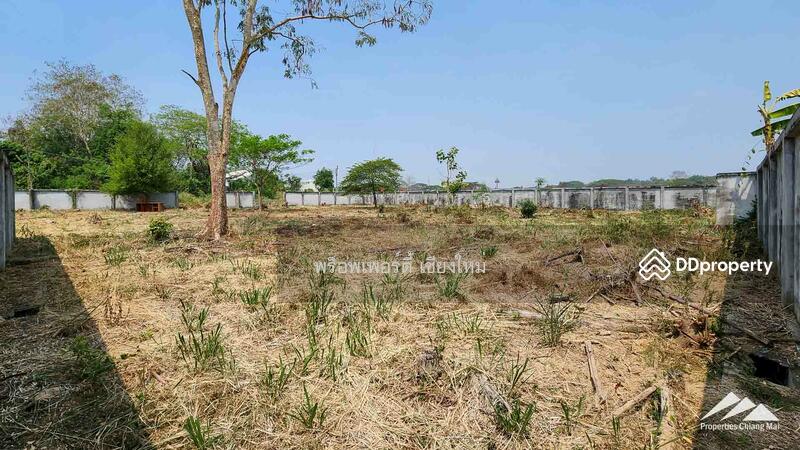 1.5 Rai Plot Of Land For Rent In Tha Sala Chiang Mai, Chiang Mai, Tha Sa La, Muang Chiang Mai, Chiang Mai, , 2,508 sqm, Land For Sale, by Elijah Ridgley, 11304011 - DDproperty.com