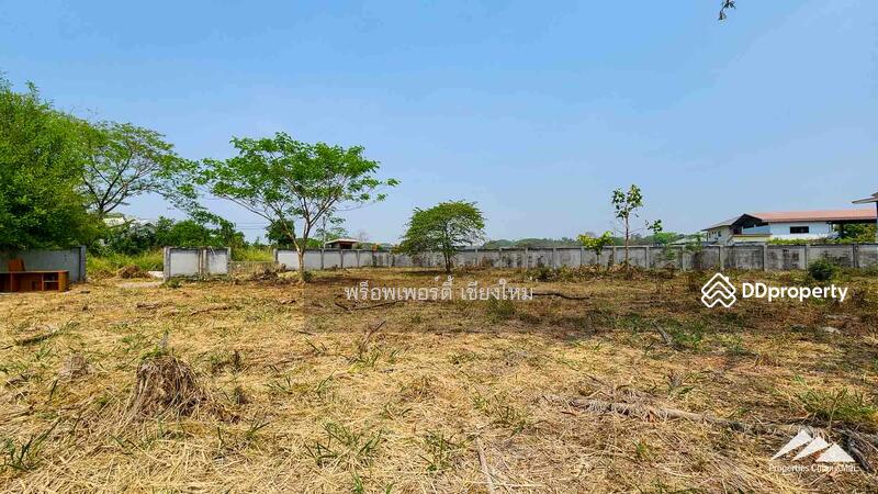 ขาย - ให้เช่าที่ดิน 1.5 ไร่ในท่าศาลาเชียงใหม่, เชียงใหม่