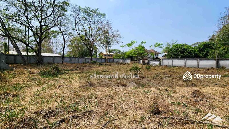 1.5 Rai Plot Of Land For Rent In Tha Sala Chiang Mai, Chiang Mai, Tha Sa La, Muang Chiang Mai, Chiang Mai, , 2,508 sqm, Land For Sale, by Elijah Ridgley, 11304011 - DDproperty.com