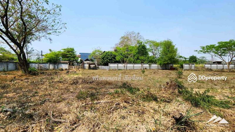 1.5 Rai Plot Of Land For Rent In Tha Sala Chiang Mai, Chiang Mai, Tha Sa La, Muang Chiang Mai, Chiang Mai, , 2,508 sqm, Land For Sale, by Elijah Ridgley, 11304011 - DDproperty.com