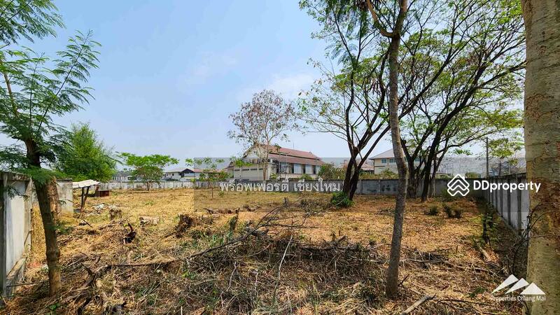 1.5 Rai Plot Of Land For Rent In Tha Sala Chiang Mai, Chiang Mai, Tha Sa La, Muang Chiang Mai, Chiang Mai, , 2,508 sqm, Land For Sale, by Elijah Ridgley, 11304011 - DDproperty.com