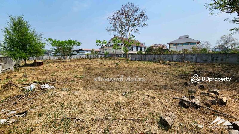 1.5 Rai Plot Of Land For Rent In Tha Sala Chiang Mai, Chiang Mai, Tha Sa La, Muang Chiang Mai, Chiang Mai, , 2,508 sqm, Land For Sale, by Elijah Ridgley, 11304011 - DDproperty.com