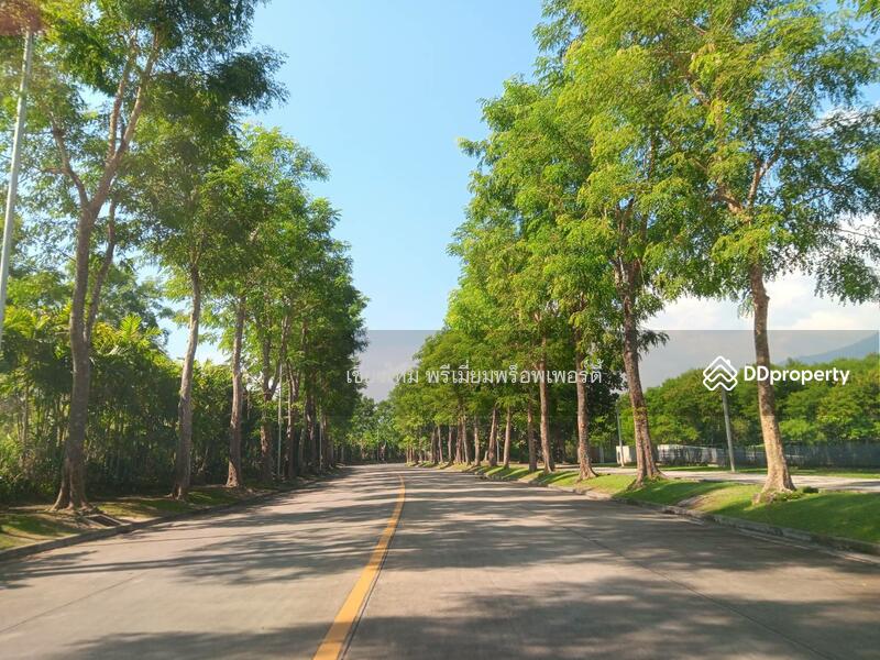 North Condo Serene Lake, Chiang Mai, ถนนสมโภชเชียงใหม่ 700 ปี, Su Thep