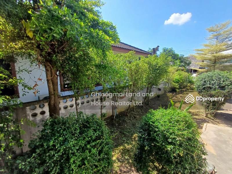 House For Rent sansei pa phai area near mae ja university, Chiang Mai, Pa Phai, San Sai, Chiang Mai, 2 Bedrooms, 170 sqm, Single Detached House For Rent, by คุณ ธีรชาติ, 11304814 - DDproperty.com