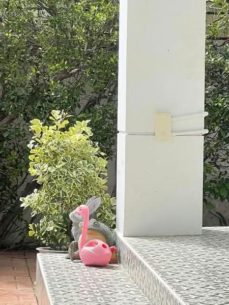 Perfect Place Sukhumvit 77-Suvarnabhumi, Samut Prakan, Lat Krabang Road, Rachathewa, Bang Plee, Samut Prakan, 3 Bedrooms, 200 sqm, Single Detached House For Rent, by pun pun piyahirunchart, 11304897 - DDproperty.com