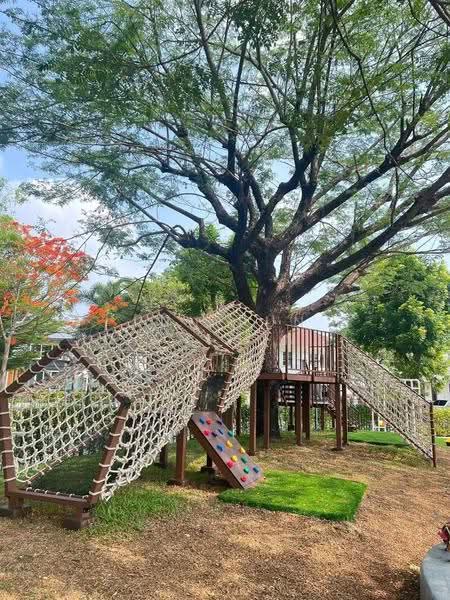 Perfect Place Sukhumvit 77-Suvarnabhumi : เพอร์เฟค เพลส สุขุมวิท77-สุวรรณภูมิ, สมุทรปราการ, ถนนลาดกระบัง, ราชาเทวะ, บางพลี, สมุทรปราการ, 200 ตร.ม., บ้านเดี่ยว ให้เช่า, โดย pun pun piyahirunchart, 11304897 - DDproperty.com