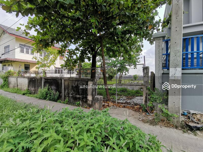 Sale land125sq.wah Chao praya river view Nonthaburi, Nonthaburi, 125 นครอินทร์, Bang Phai, Muang Nonthaburi, Nonthaburi, , 500 sqm, Land For Sale, by แสงเดือน คงแนวดี, 11304952 - DDproperty.com