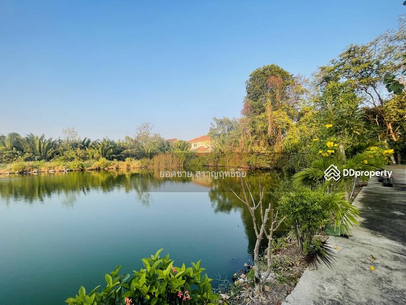 For Sale - For sale: 3 plots of land with houses,total 1-2-72 Rai 13.5 mb, Samut Prakan
