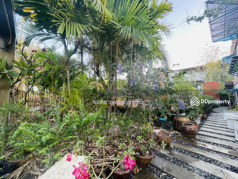 For Sale - For sale: 3 plots of land with houses,total 1-2-72 Rai 13.5 mb, Samut Prakan