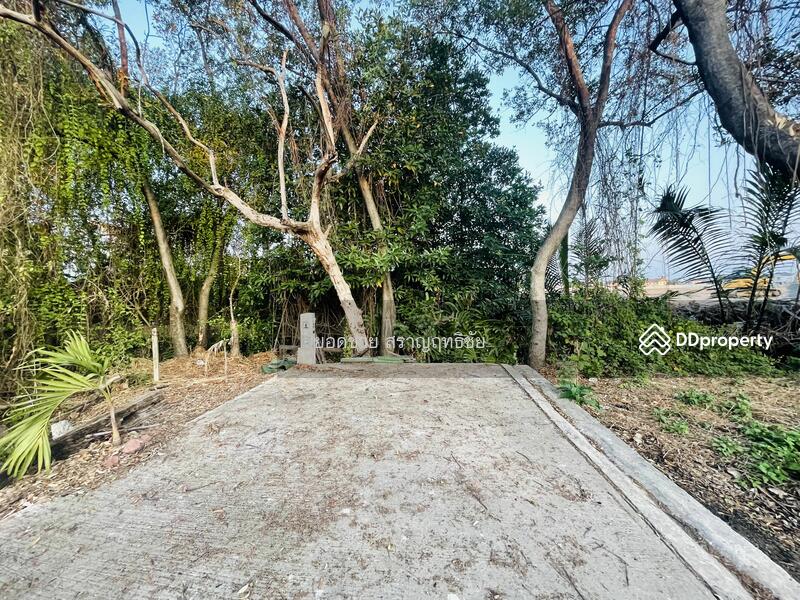 For Sale - For sale: 3 plots of land with houses,total 1-2-72 Rai 13.5 mb, Samut Prakan