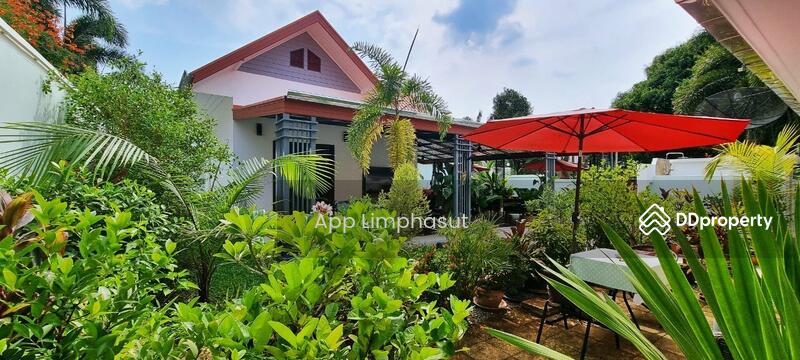 Tropical Villa In Bangsaray, Chon Buri (Pattaya), Bang Sa-re, Sattahip, Chon Buri (Pattaya), 5 Bedrooms, 400 sqm, Single Detached House For Sale, by Sathida Limphasut (App), 11305970 - DDproperty.com