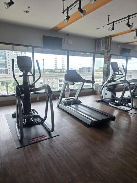 Supalai Loft Chaeng Watthana : ศุภาลัย ลอฟท์ แจ้งวัฒนะ, นนทบุรี, ถนนแจ้งวัฒนะ, บางตลาด, ปากเกร็ด, นนทบุรี, 48 ตร.ม., คอนโด ให้เช่า, โดย อุไลวรรณ บุญศิริ, 11307463 - DDproperty.com